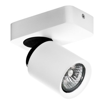 Azzardo AZ0662 - Foco TOMI 1xGU10/50W/230V