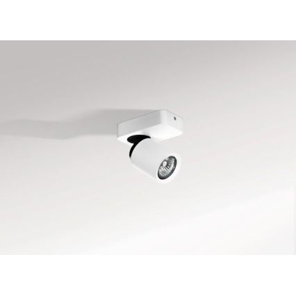 Azzardo AZ0662 - Foco TOMI 1xGU10/50W/230V