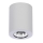 Azzardo AZ1054 - Luz de teto BORIS 1xGU10/50W/230V