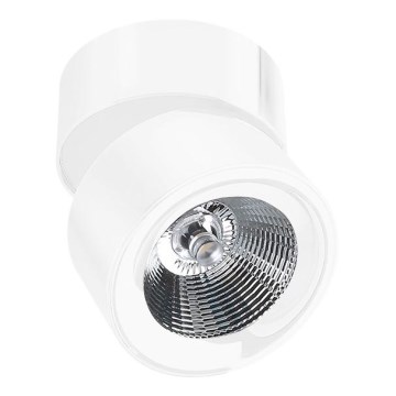 Azzardo AZ1618 - Foco LED SCORPIO 1xLED/10W/230V