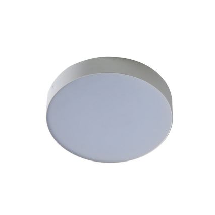 Azzardo AZ2261 - Luz de teto LED MONZA 1xLED/20W/230V