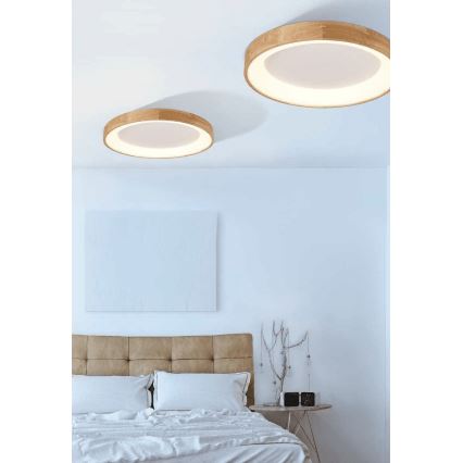 Azzardo AZ2698 - Luz de teto LED SILVAM 1xLED/50W/230V