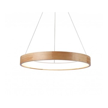 Azzardo AZ2699 - Candelabro num fio LED SILVAM 1xLED/50W/230V