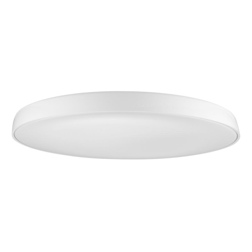Azzardo AZ2739 - Luz de teto LED CORTONA 1xLED/50W/230V 4000K