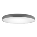Azzardo AZ2743 - Luz de teto LED CORTONA 1xLED/50W/230V 3000K
