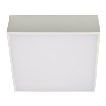 Azzardo AZ2781 - Luz de teto LED FALCO LED/12W/230V