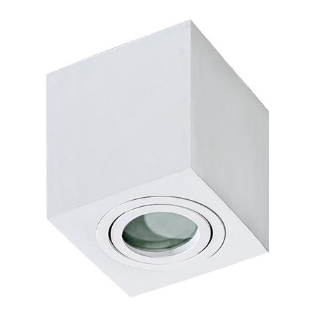 Azzardo AZ2822 - Iluminação de teto de casa de banho BRANT 1xGU10/50W/230V IP44