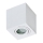 Azzardo AZ2822 - Iluminação de teto de casa de banho BRANT 1xGU10/50W/230V IP44