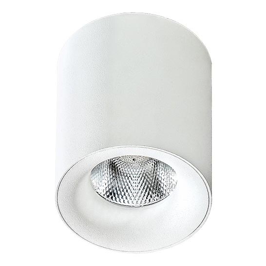 Azzardo AZ2845 - Luz de teto LED MANE 1xLED/10W/230V