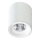 Azzardo AZ2845 - Luz de teto LED MANE 1xLED/10W/230V
