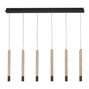Azzardo AZ3340 - Candelabro num fio LED IZOLDA 6xLED/5W/230V