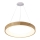 Azzardo AZ3344 - Candelabro suspenso LED SILVAM LED/30W/230V