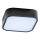 Azzardo AZ4146 - Iluminação de teto de casa de banho LUCIE 2xE27/20W/230V IP44