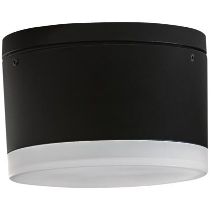 Azzardo AZ4333 - Iluminação de teto exterior LED APULIA LED/10W/230V IP54