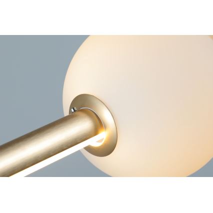 Azzardo AZ4427 - Candelabro suspenso LED com regulação SANDRA LED/48W/230V dourado