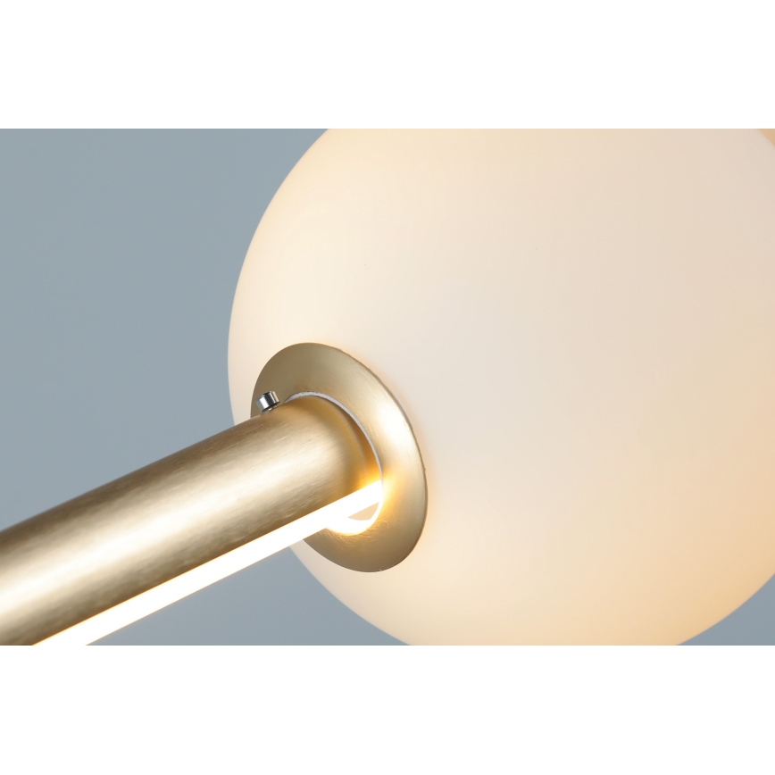 Azzardo AZ4427 - Candelabro suspenso LED com regulação SANDRA LED/48W/230V dourado