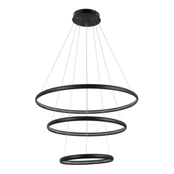 Azzardo AZ4428 - Candelabro suspenso LED BRIGHTON LED/55W/230V preto
