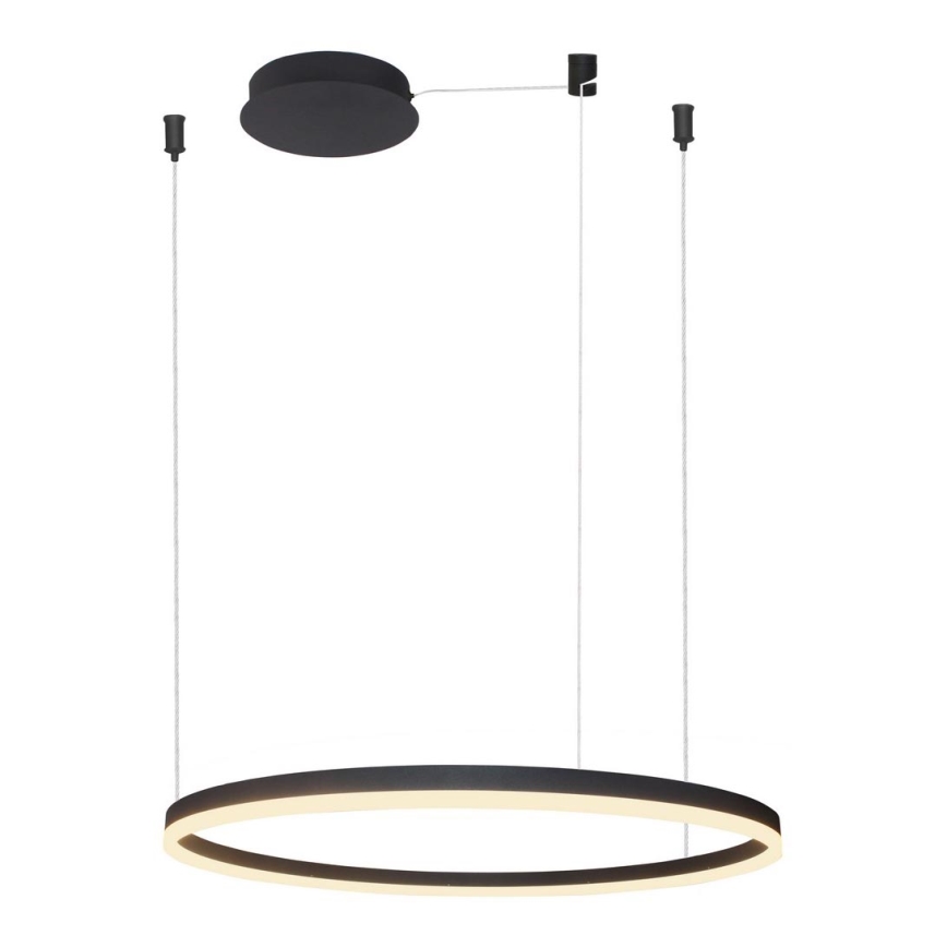 Azzardo AZ4960 -Candelabro suspenso LED com regulação HALO LED/54W/230V diâmetro 80 cm preto