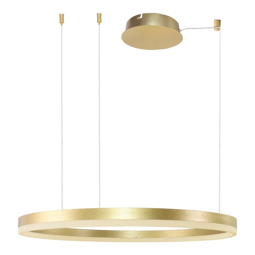 Azzardo AZ4961 -Candelabro suspenso LED com regulação HALO LED/56W/230V diâmetro 80 cm dourada