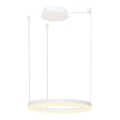 Azzardo AZ4967 - Lustre LED regulável em cabo HALO LED/47W/230V diâmetro 60 cm branco
