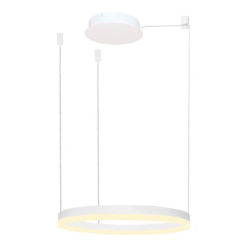 Azzardo AZ4967 - Lustre LED regulável em cabo HALO LED/47W/230V diâmetro 60 cm branco