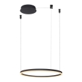 Azzardo AZ4968 -Candelabro suspenso LED com regulação HALO LED/47W/230V diâmetro 60 cm preto