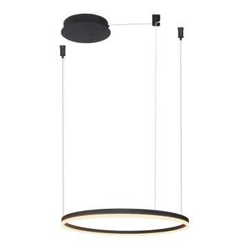 Azzardo AZ4968 -Candelabro suspenso LED com regulação HALO LED/47W/230V diâmetro 60 cm preto