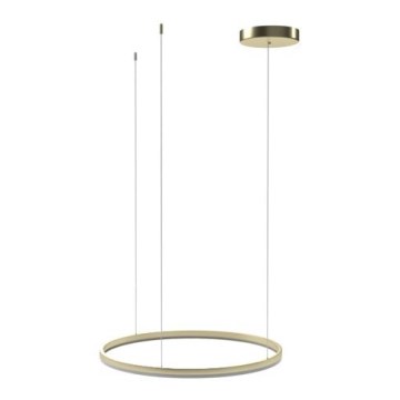 Azzardo AZ4970 -Candelabro suspenso LED com regulação HALO LED/46W/230V diâmetro 60 cm dourada