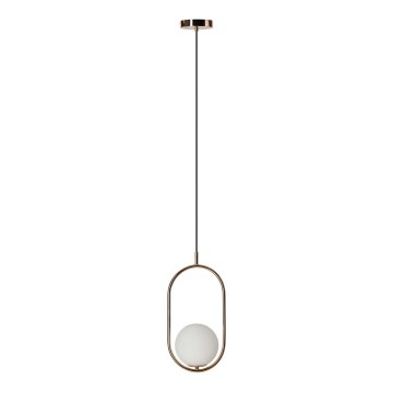 Azzardo AZ4981 - Candelabro suspenso COCO 1xG9/50W/230V