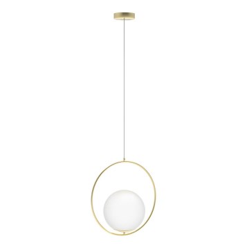 Azzardo AZ4983 - Candelabro suspenso JUMBO 1xG9/50W/230V dourada