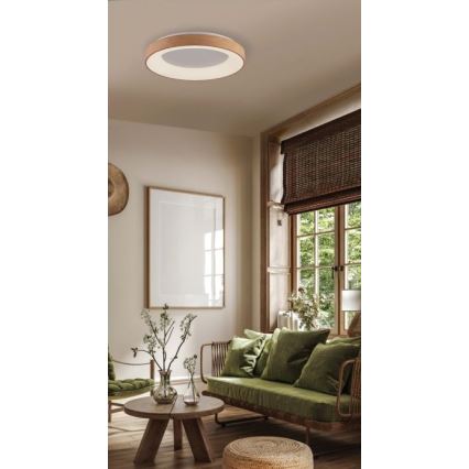 Azzardo AZ4988 - Iluminação de teto LED SANTANA LED/30W/230V dourada