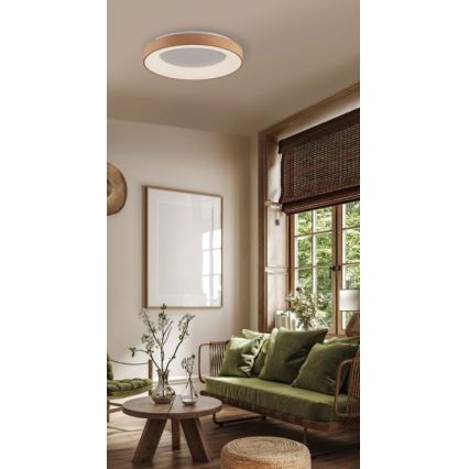 Azzardo AZ4989 - Iluminação de teto LED SANTANA LED/30W/230V castanho