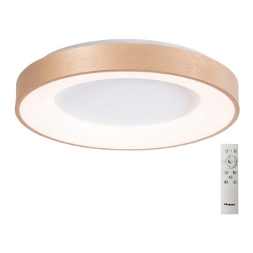 Azzardo AZ4992 - Iluminação de teto LED com regulação SANTANA LED/50W/230V dourada + controlo remoto