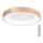 Azzardo AZ4992 - Iluminação de teto LED com regulação SANTANA LED/50W/230V dourada + controlo remoto