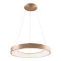 Azzardo AZ5000 - Lustre LED suspenso em cabo SANTANA LED/30W/230V dourado