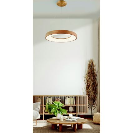 Azzardo AZ5010 - Candelabro suspenso LED com regulação SANTANA LED/50W/230V castanho + controlo remoto