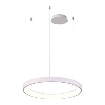 Azzardo AZ5018 - Candeeiro suspenso LED com regulação AGNES LED/48W/230V diâmetro 58 cm branco