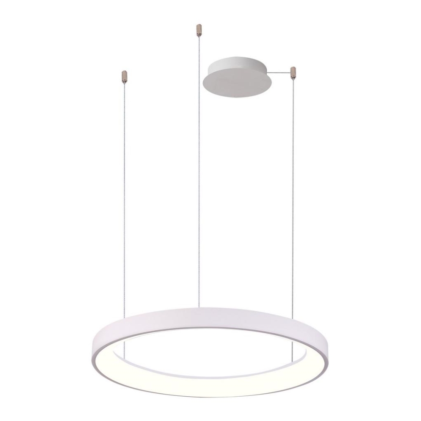 Azzardo AZ5018 - Candeeiro suspenso LED com regulação AGNES LED/48W/230V diâmetro 58 cm branco