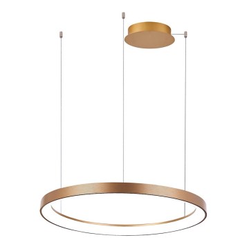Azzardo AZ5020 - Candeeiro suspenso LED com regulação AGNES LED/48W/230V diâmetro 58 cm dourada
