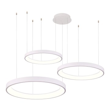 Azzardo AZ5025 - Candeeiro suspenso LED com regulação AGNES LED/120W/230V branco