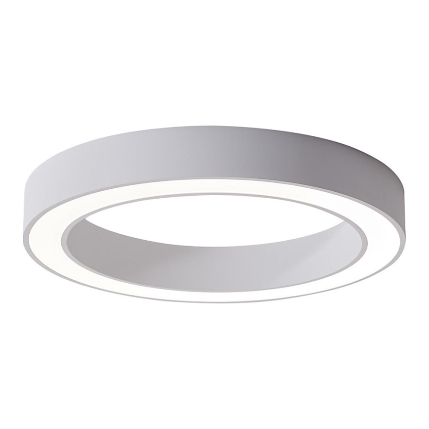 Azzardo AZ5028 - Iluminação de teto LED MARCO LED/30W/230V branco