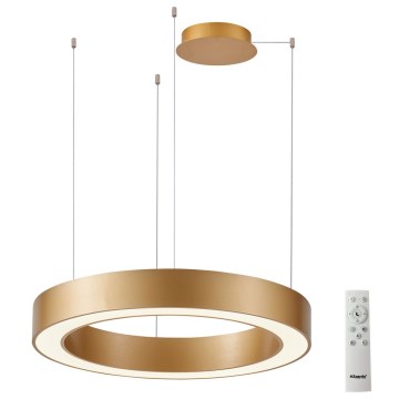 Azzardo AZ5048 - Candelabro suspenso LED com regulação MARCO LED/60W/230V dourada + controlo remoto
