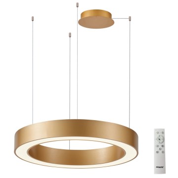 Azzardo AZ5051 - Candelabro suspenso LED com regulação MARCO LED/80W/230V dourada + controlo remoto