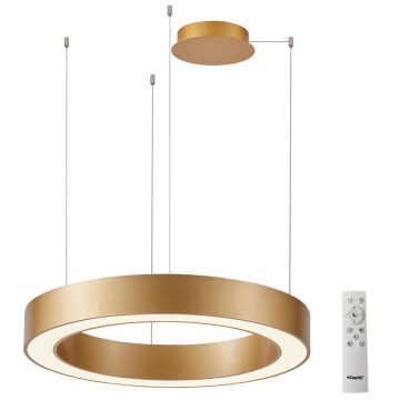 Azzardo AZ5054 - Candelabro suspenso LED com regulação MARCO LED/100W/230V dourada + controlo remoto
