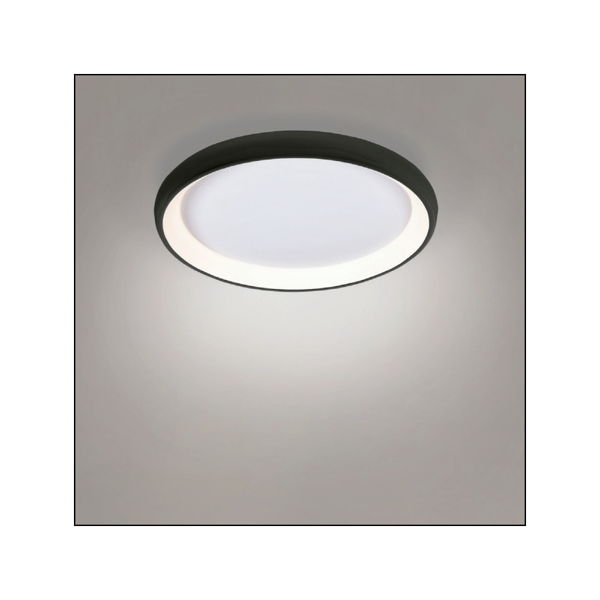 Azzardo AZ5072 - Iluminação de teto LED com regulação ANTONIO LED/50W/230V preto + controlo remoto