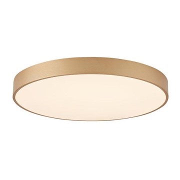 Azzardo AZ5083 - Iluminação de teto LED com regulação MARCELLO LED/60W/230V dourada