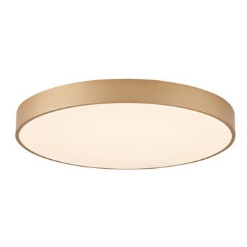 Azzardo AZ5086 - Iluminação de teto LED com regulação MARCELLO LED/80W/230V dourada