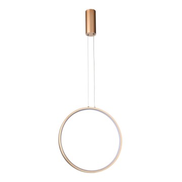 Azzardo AZ5254 - Candelabro suspenso LED com regulação MASSIMA LED/25W/230V dourada