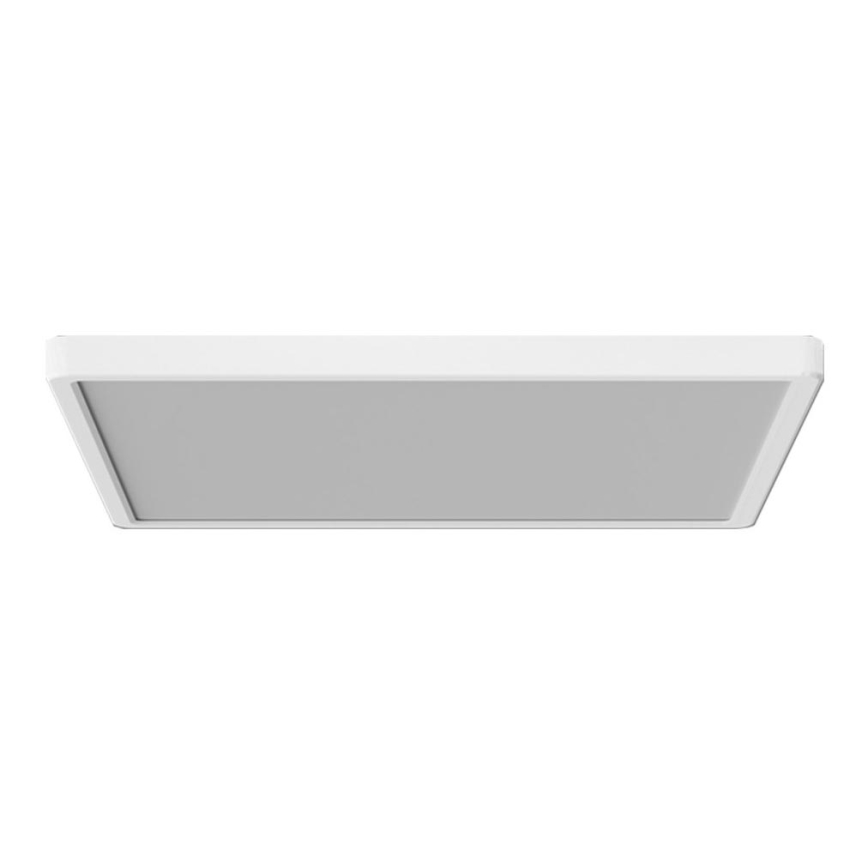 Azzardo AZ5373 - Plafon LED regulável PANKA LED/45W/230V IP40 branco