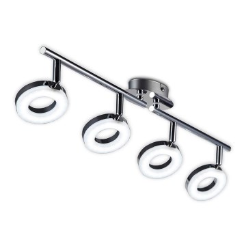B.K. Licht 30-03-04-C - Foco LED DONUT 4xLED/4W/230V
